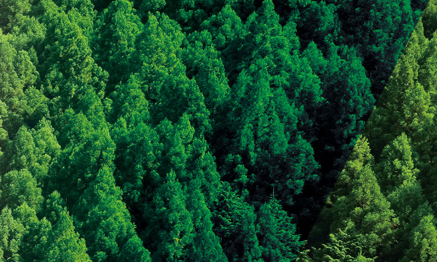 CULTURE-Guangdong Handar