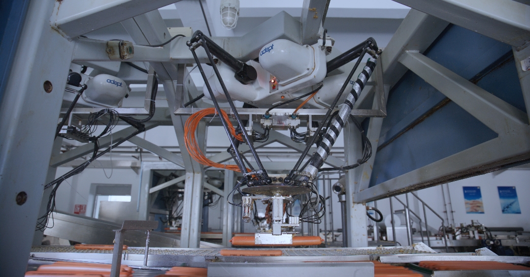 XUE FENG-Guangdong Handar