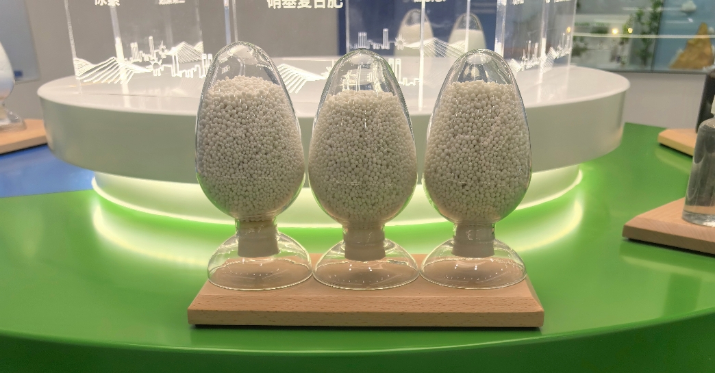 XUE FENG-Guangdong Handar