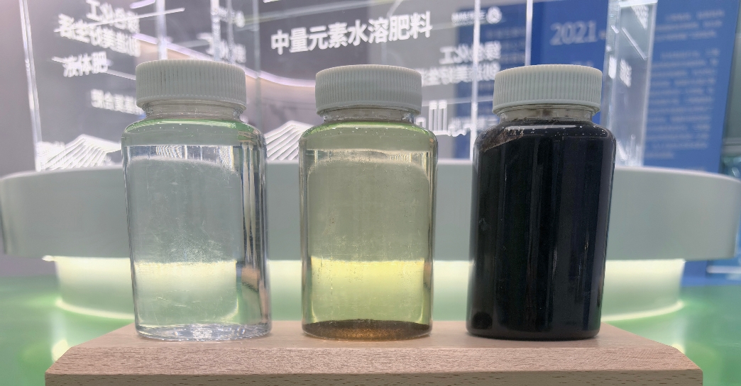 XUE FENG-Guangdong Handar